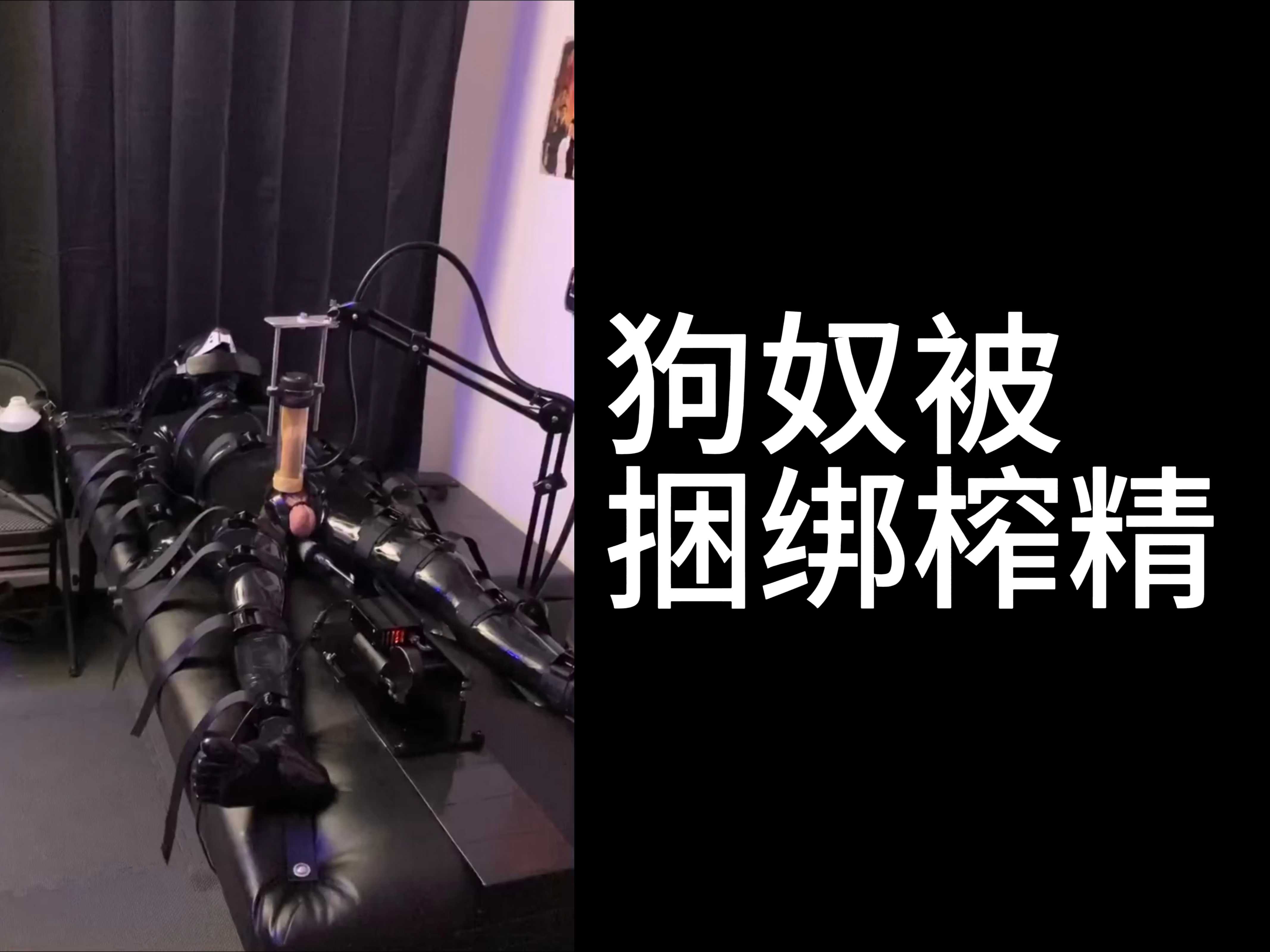 狗奴被捆綁榨精